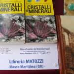 mostra mercato minerali