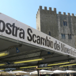 mostra mercato minerali